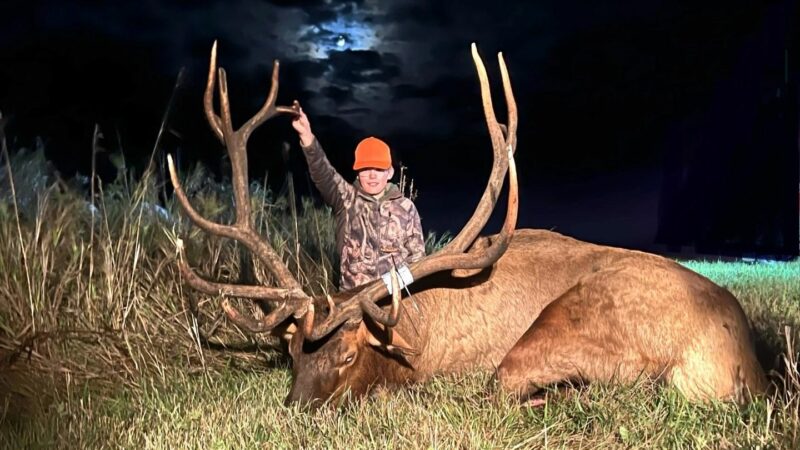 Minnesota Teen Shoots 8×10 Bull with a Once-in-a-Lifetime Tag