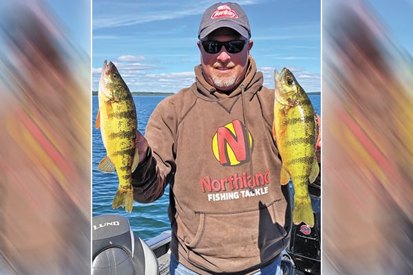 Minnesota’s Pro Tip of the Week: Fall perch bite leads to big size, numbers – Outdoor News