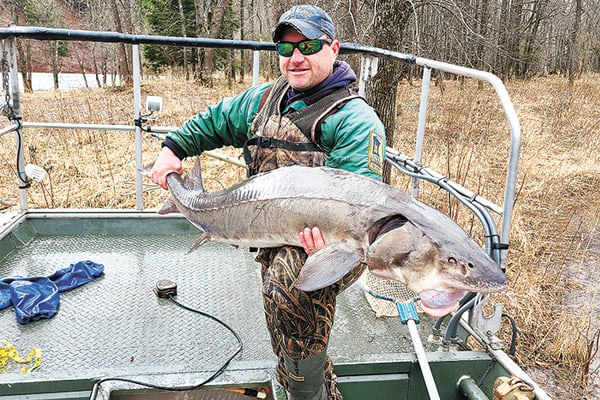Minnesota’s St. Louis River gets a stock of sturgeon fry in efforts to boost population – Outdoor News