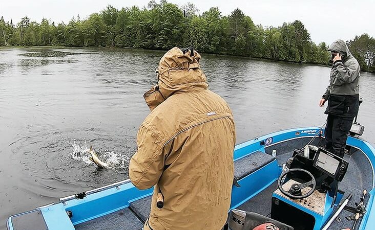 MN Daily Update: Muskie fishing is heating up during the early fall period – Outdoor News