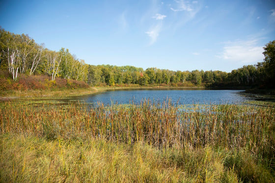 More than 2,500 acres of forest, lakes and ponds to be added to Minnesota’s Paul Bunyan State Forest – Outdoor News