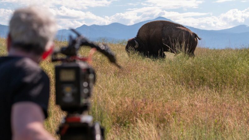 New Ken Burns Doc ‘The American Buffalo’ Airs in October