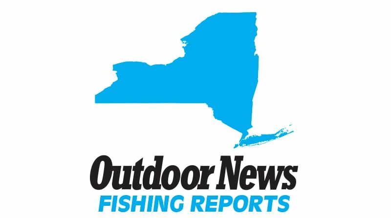 New York Fishing Report – September 22, 2023 – Outdoor News