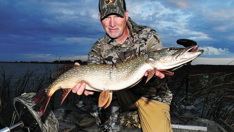 Outdoor Insights: Minnesota DNR’s proposed regulation designed to grow bigger pike in popular Gull Lake chain near Brainerd – Outdoor News