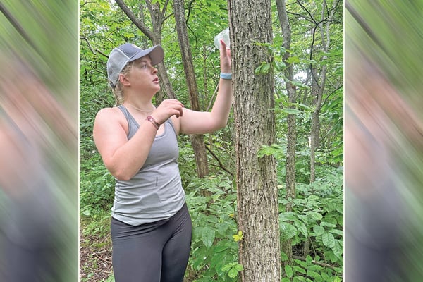 Parasitic wasps engaged in fight against emerald ash borer in Ohio – Outdoor News