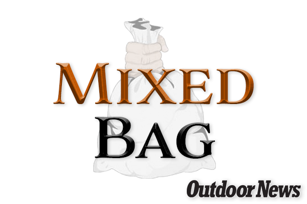 Pennsylvania Mixed Bag: Elk cam back for another season – Outdoor News