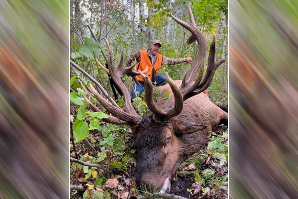 Roseau siblings kill two massive bull elk during first days of Minnesota season – Outdoor News