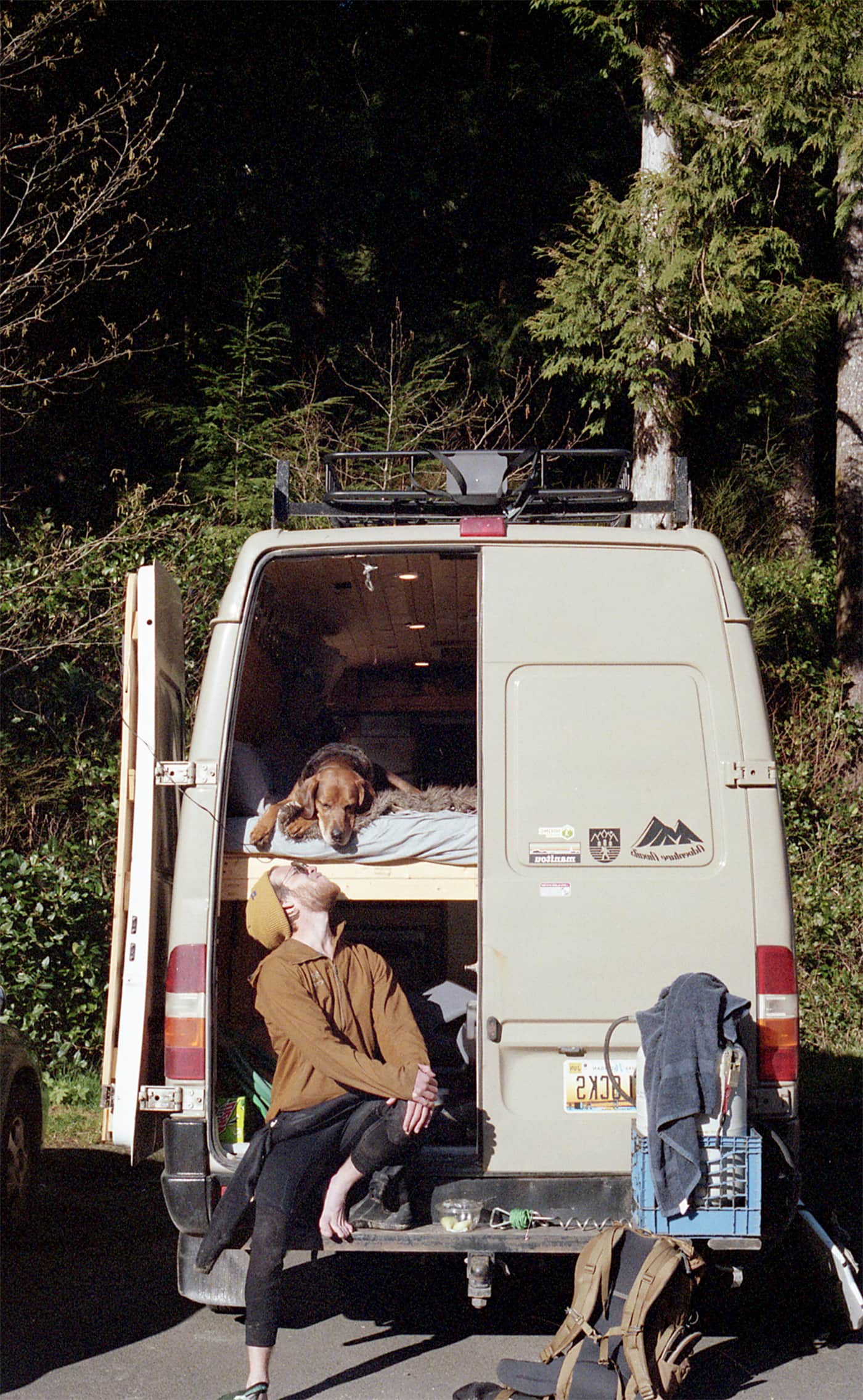 Man wearing a wetsuit sits on the tailgate of his sprinter van looking up at this dog.