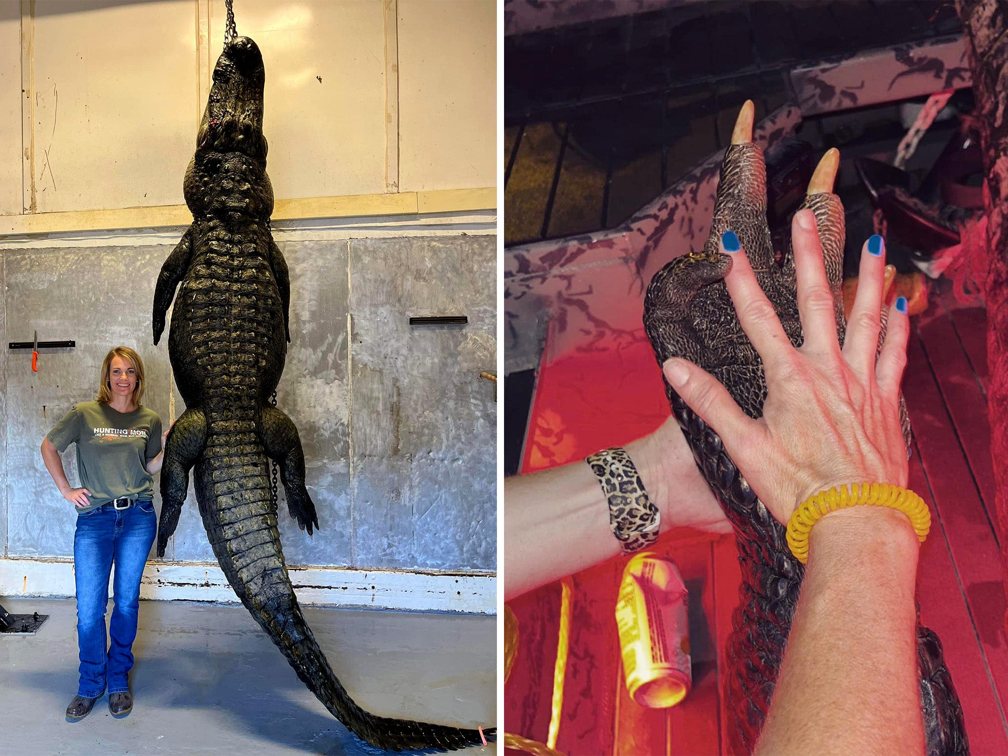 south carolina woman tags 12 foot gator 3