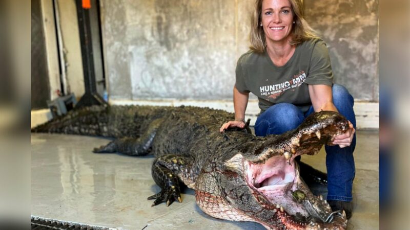 South Carolina Hunter Tags a Massive Alligator Pushing 12 Feet and 700 Pounds