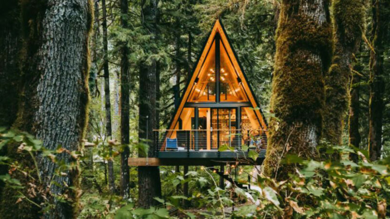 The 27 Best Treehouses You Can Rent in the USA