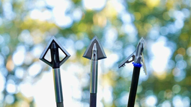 The Best Broadheads for Deer of 2023