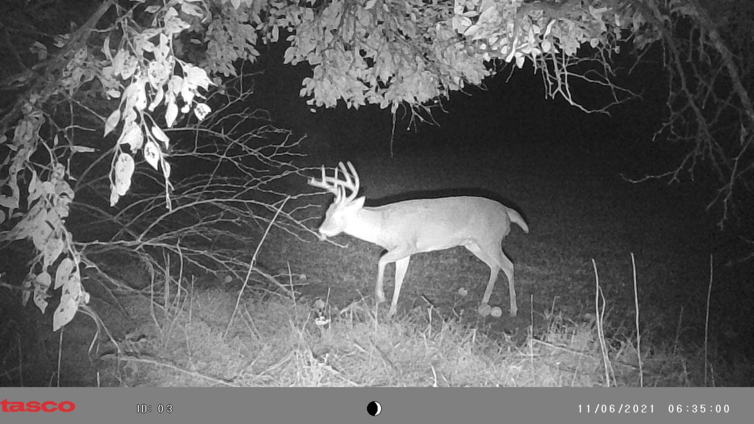 Deer Hunting Gear photo