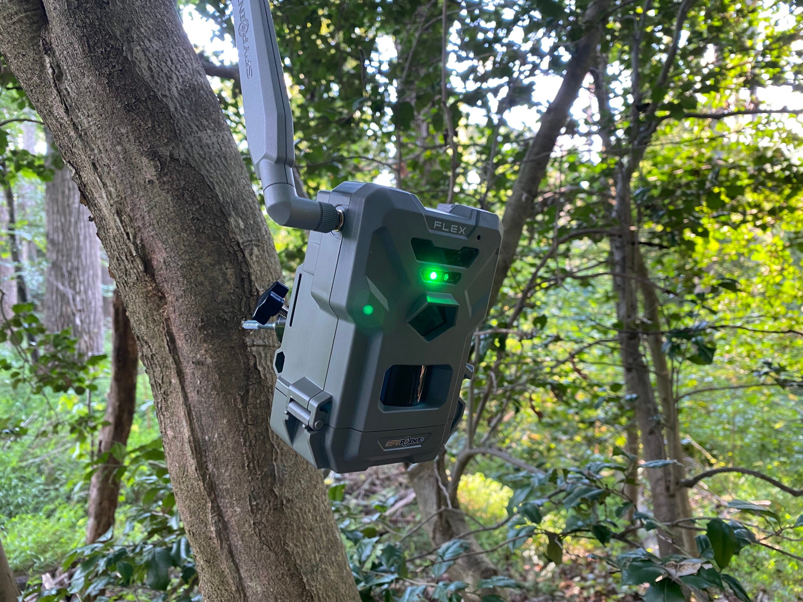 Testing the best budget trail cameras in the field