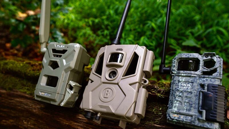 The Best Budget Trail Cameras of 2023, Tested and Reviewed
