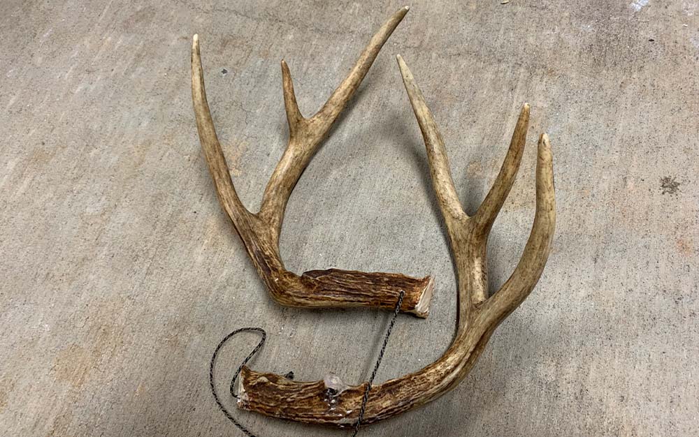 Rounding off the brow tines means you won't accidentally drive one of them through your hand.