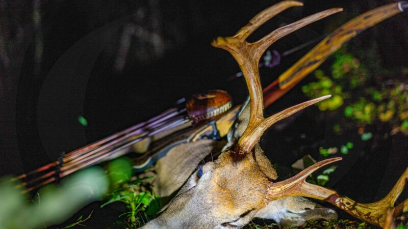 The Best Deer Hunting Gear of 2023