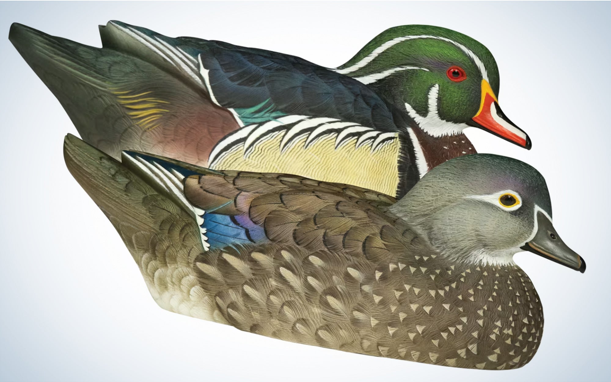 The Avian-X Topflight Wood Ducks are the best wood duck decoys.