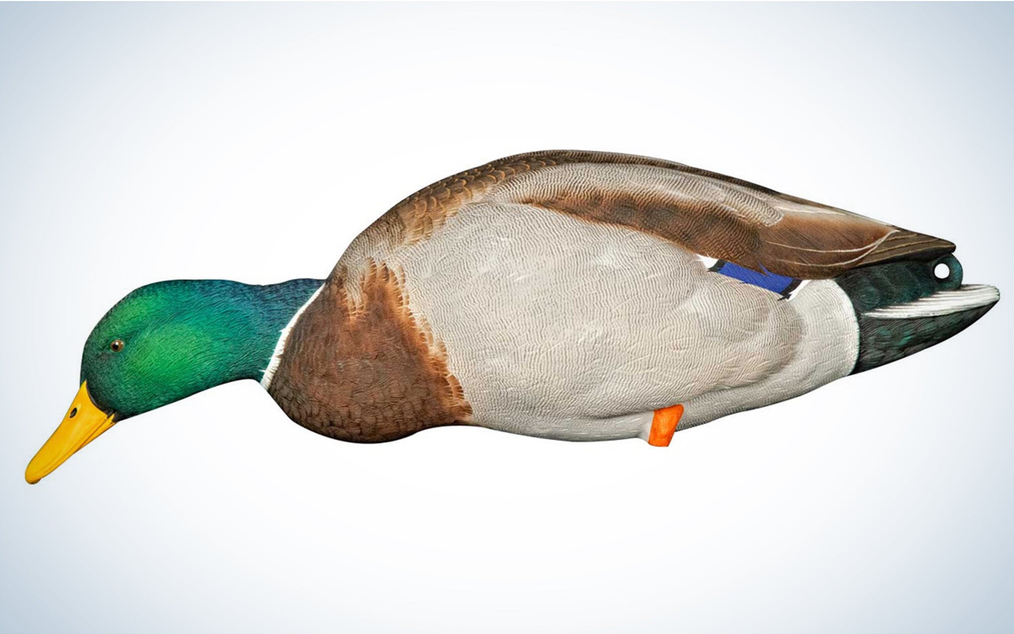 The Avian-X AXP Full Body Mallards are the best field decoys.