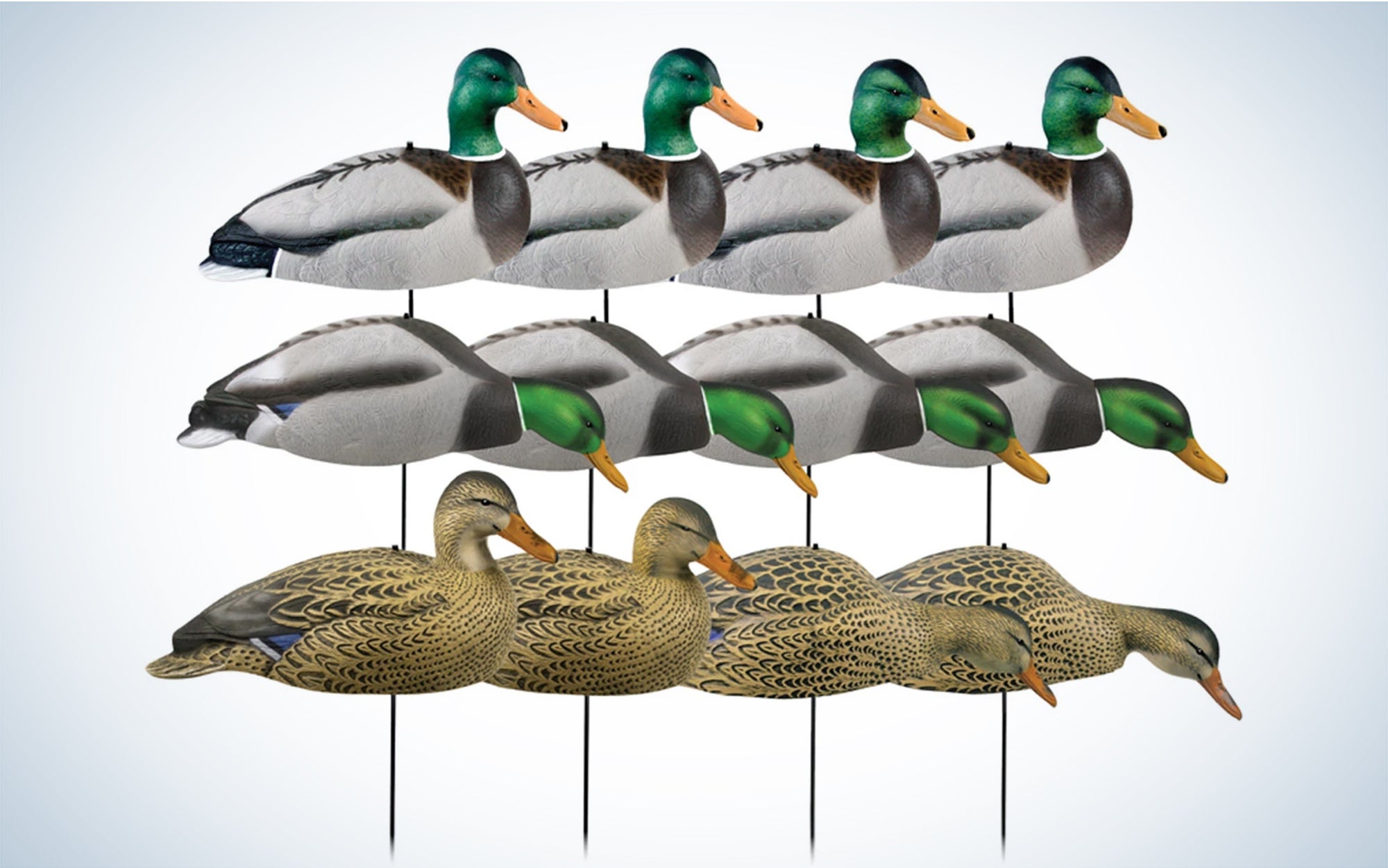 GHG Hunter Series Mallard Shells are the best field decoys for the money.