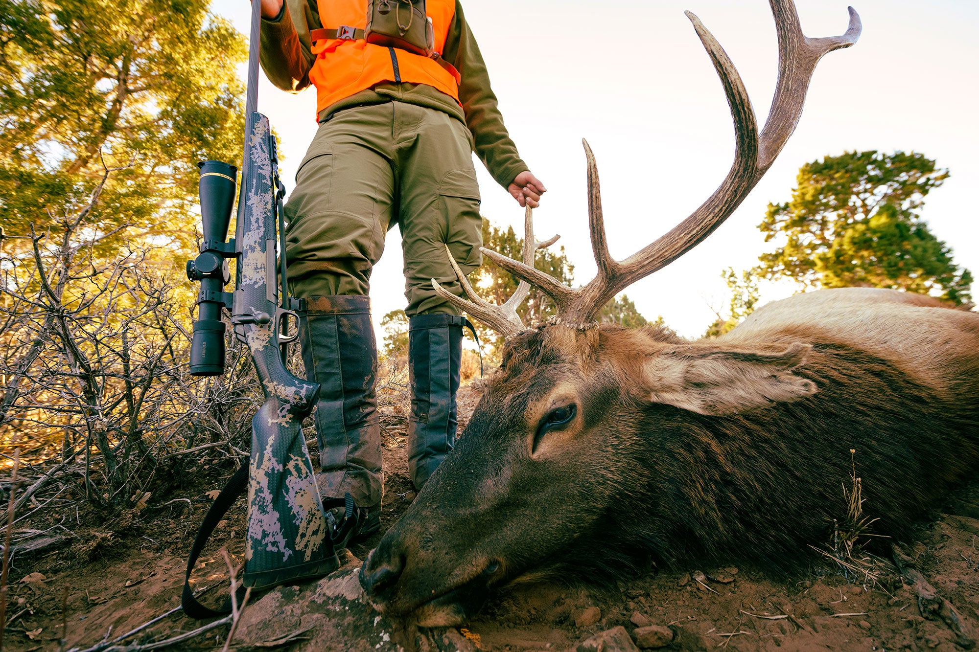 elk and rifle