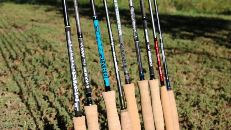 The Best Fly Rods for Bass, Tested and Reviewed