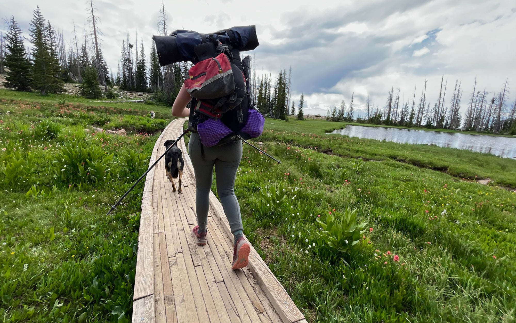 We tested the best hiking leggings.