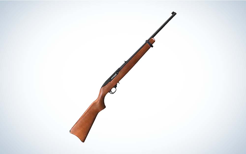 The Ruger 10/22 is the best semi-auto squirrel hunting rifle.