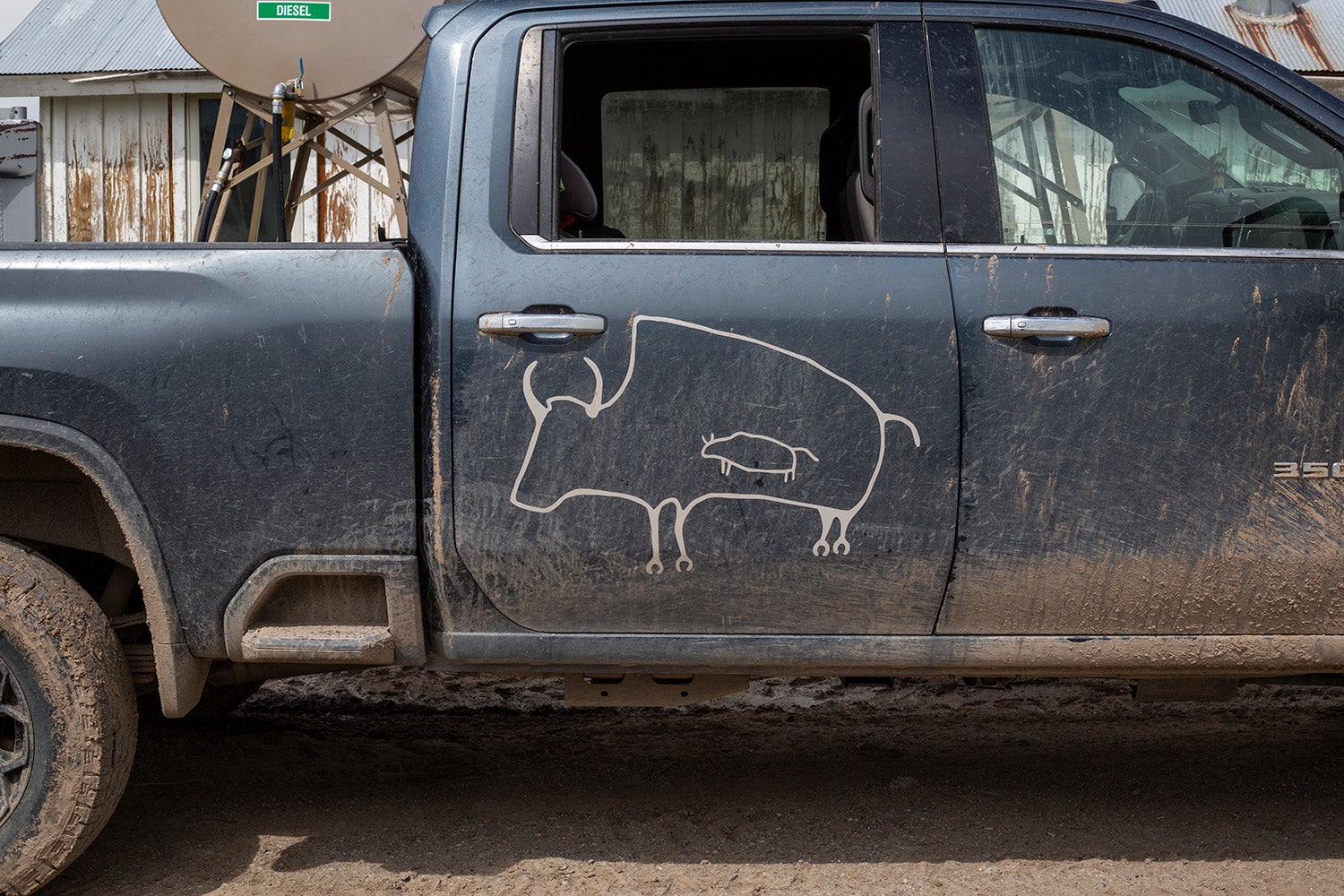 cave-style drawing of buffalo on door of pickup truck