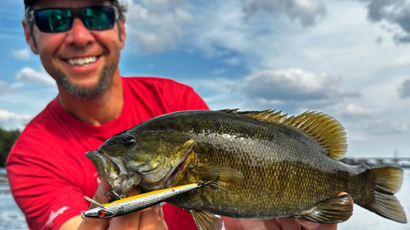 These 3 Classic Jerkbaits Are Still the Best for Bass and Trout