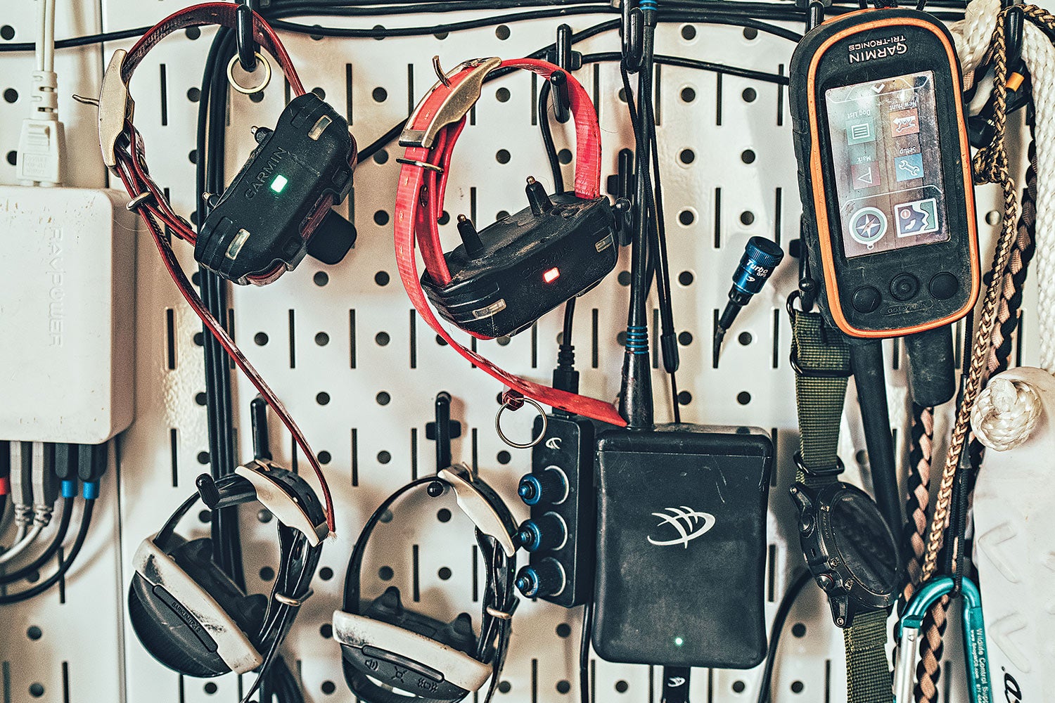 gear used for falconry hangs on pegboard