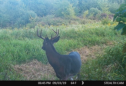 Trail-camera traps: Try these three early-season, off-the-path ideas – Outdoor News