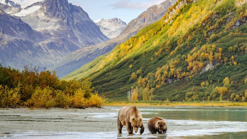 Wild Alaska: The Last Frontier Offers Rugged Outdoor Adventures