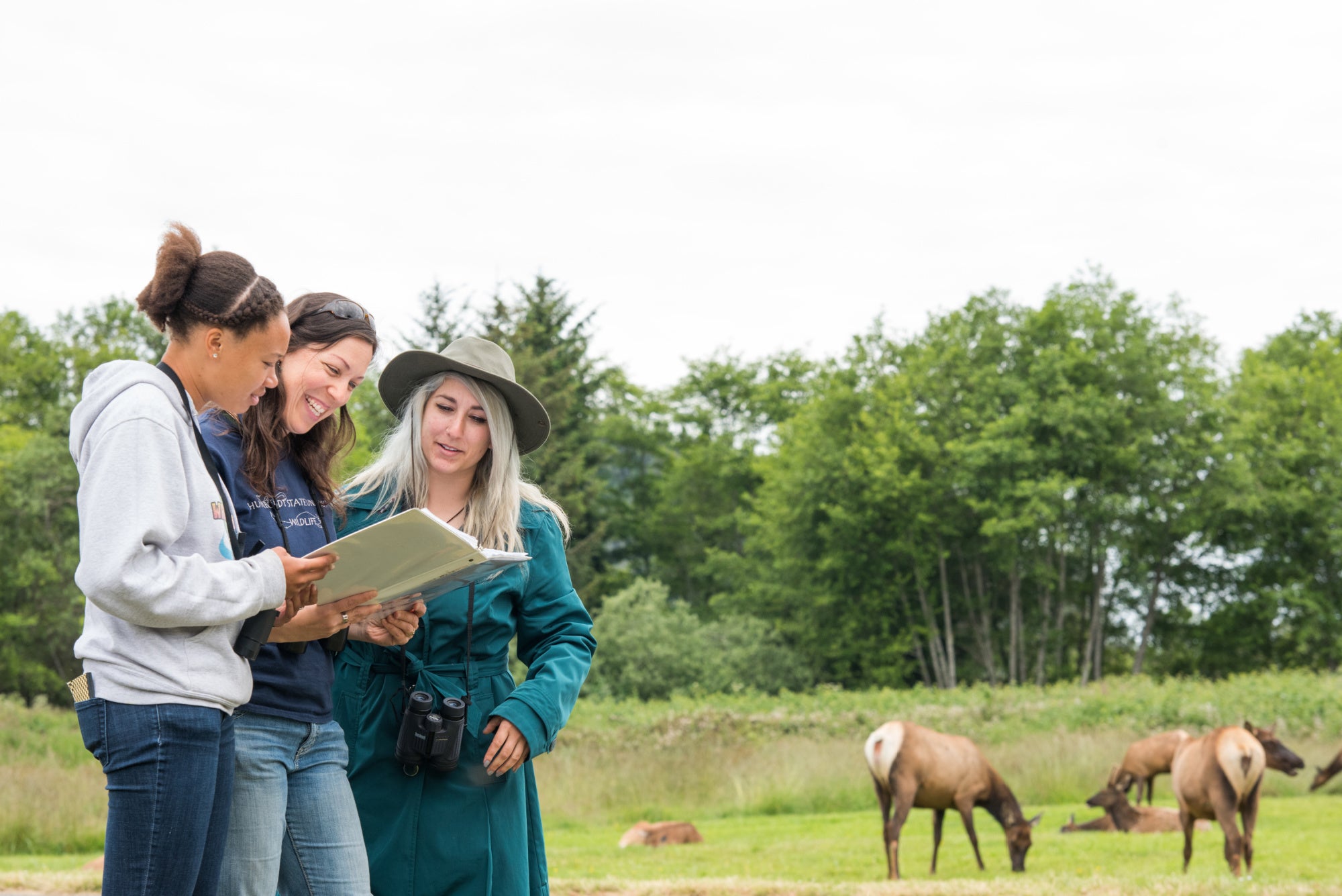 elk study cal poly humboldt