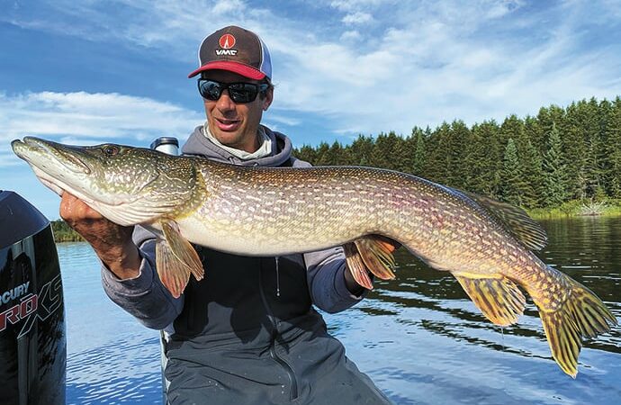 With the correct gear, the big pike of fall can be had – Outdoor News