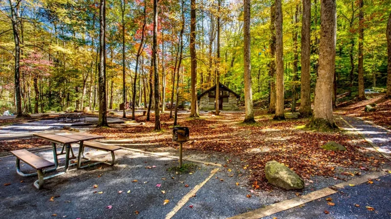 12 Top Tips for Camping During the Fall Months