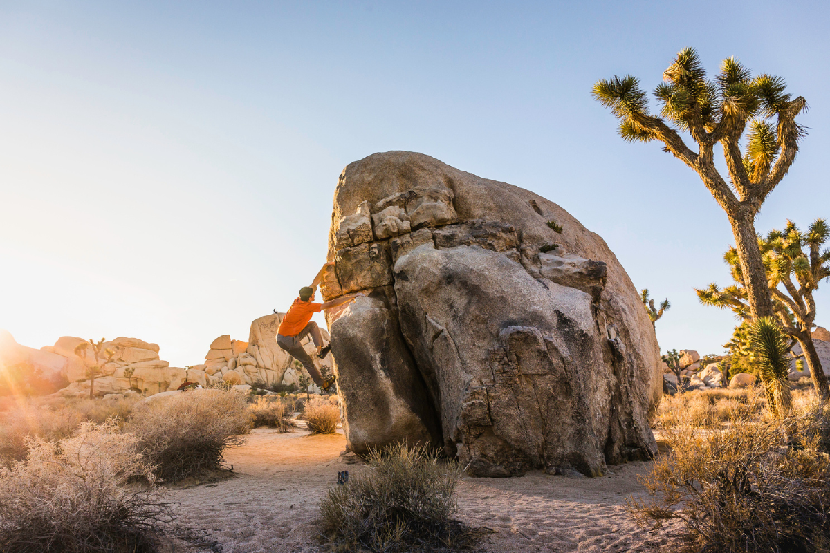 Bouldering is a great thing to see in Joshua Tree National Park