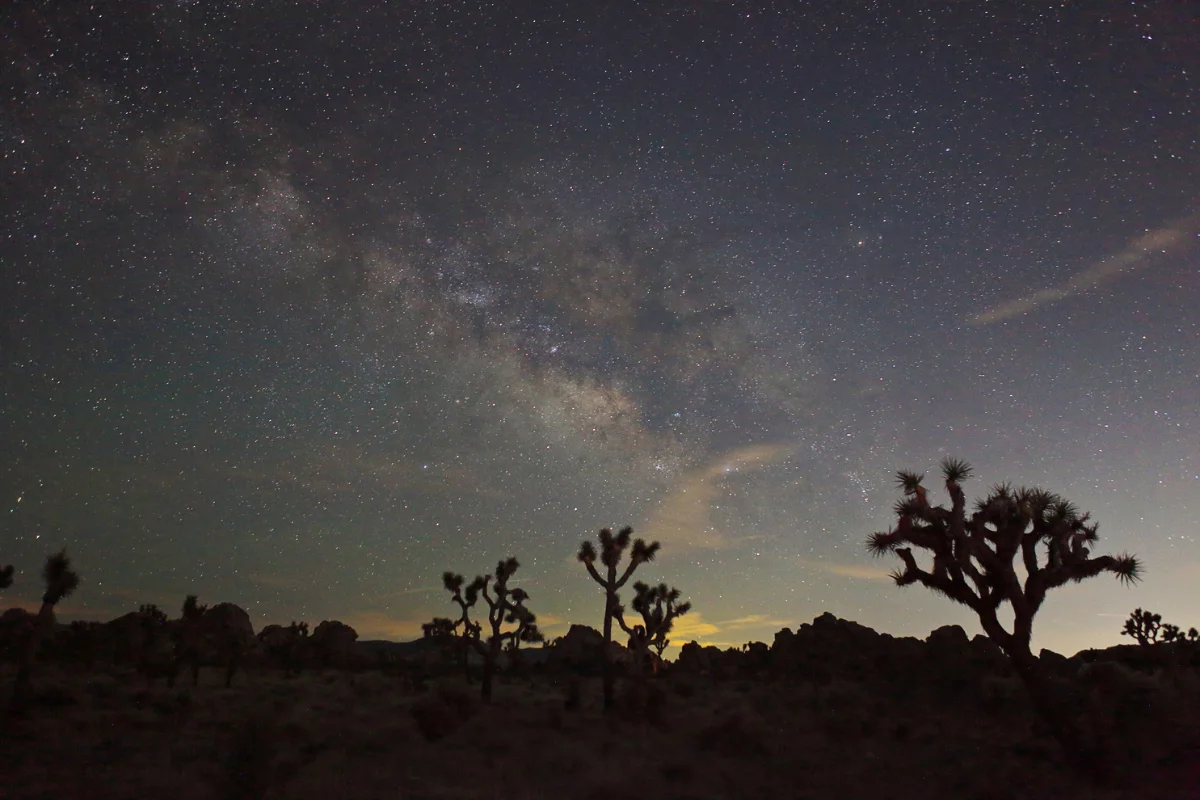 cool things to see in Joshua Tree National Park