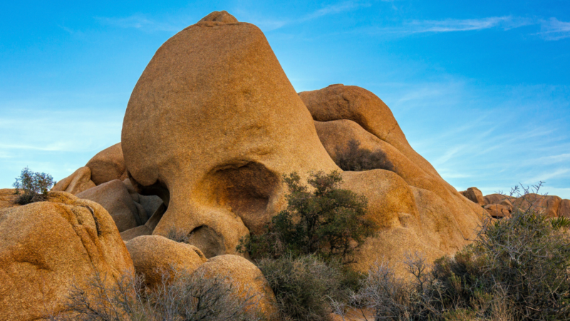 5 Cool Things to See in Joshua Tree National Park