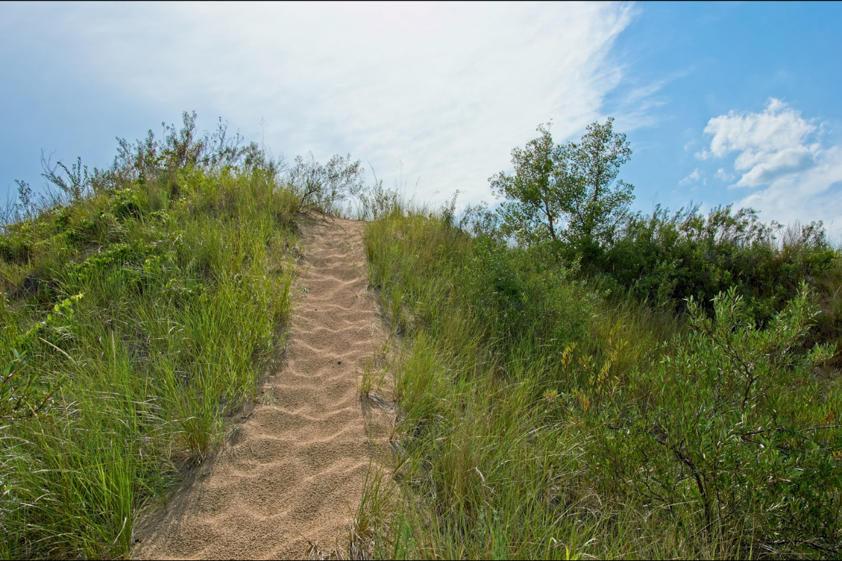 indiana dunes national park trails