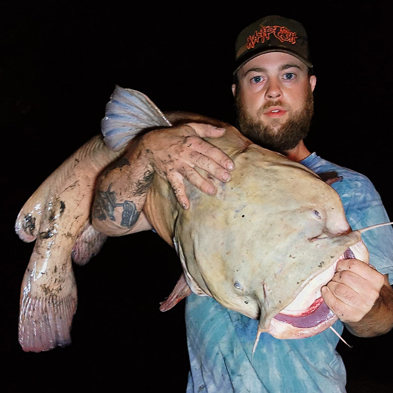 leucistic catfish nebraska 3