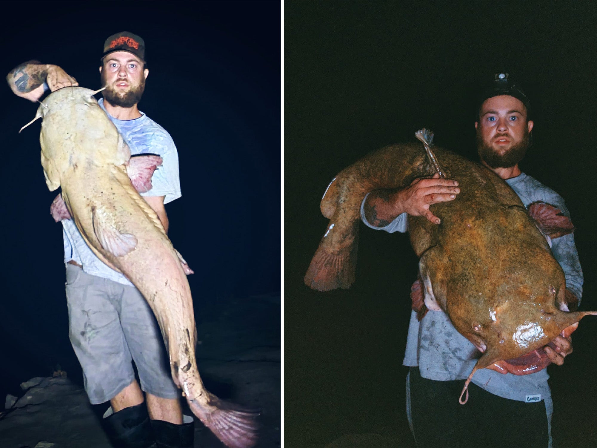 leucistic catfish nebraska 2