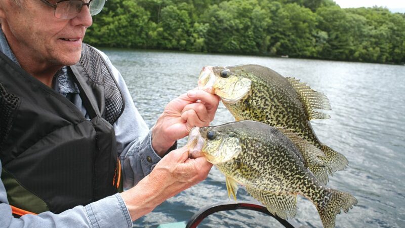 Crappies off the bottom: For fall fishing, let your sonar be your guide – Outdoor News