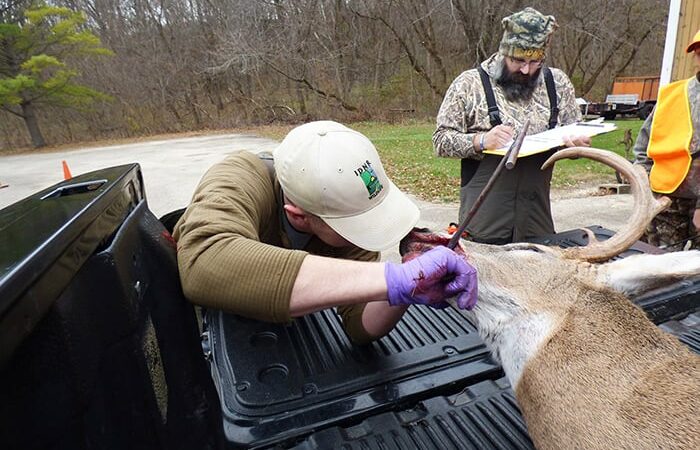 CWD deer cases skyrocketed in Illinois this past year, partly due to more testing – Outdoor News