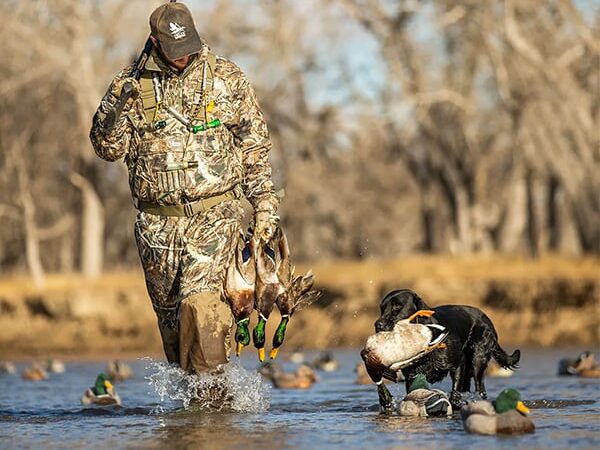 Even with state mallard numbers down, duck hunters remain eager – Outdoor News