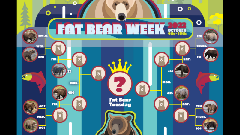 Fat Bear Week Kicks Off Today, Here Are The Bears You Can Vote For