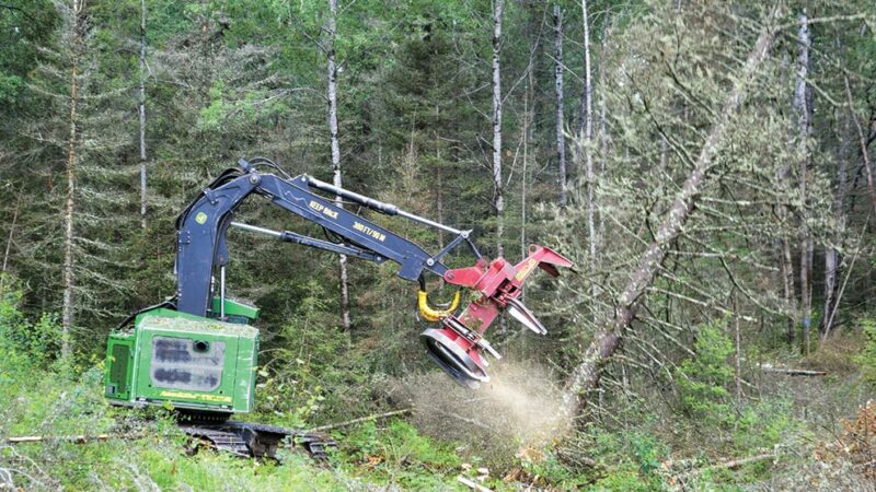 For many Minnesota loggers, it’s a family thing – Outdoor News