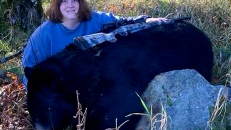Hunter Tags New Maryland State-Record Black Bear on Opening Day