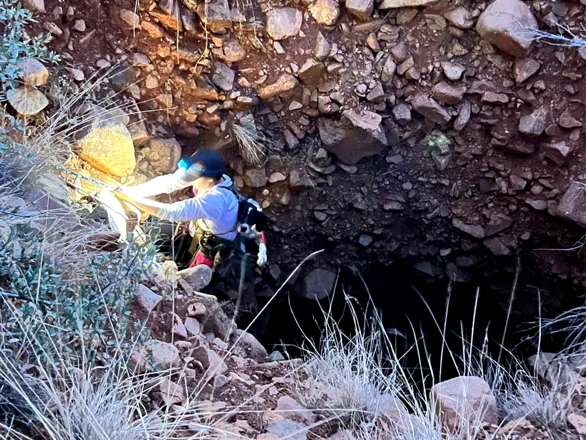 bird dog mineshaft rescue