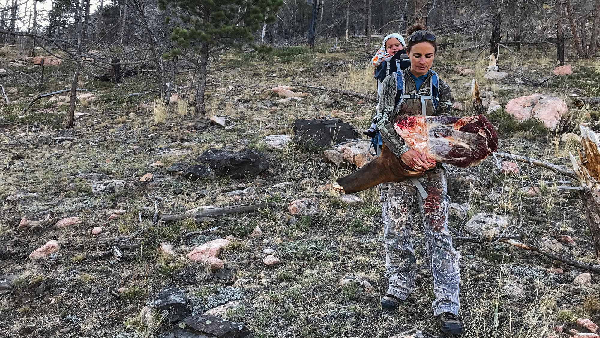 Hunter with baby in carrier on back also carries part of an elk through rocky, woody terrain.